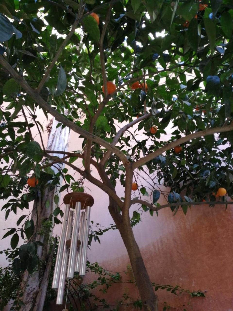 Bed and Breakfast Les Bains De Fez Tara Exterior foto